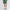 Performance Poly Tech Shorts Forest