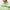 Klas Regular Fit TX Jersey Polo Paradise Green