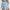 Atrium High Rise Shorts 4.5 Cashmere Blue