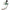 x QGC Avant Leather Spikeless Golf Shoes White/Green