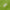 Unisex Icon Style Cardigan Field Green