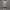 Pleated Skort Hemp
