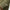 Lymann V-Neck Tour Merino Sweater Oil Green
