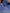 Miranda Dress Blue