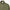 Signature Croc Quarter Zip Cotton Mid Layer Green